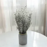 len-suszony-srebrny-stan-nowy