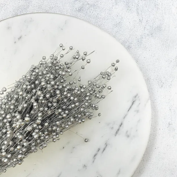 len-suszony-srebrny-rodzaj-trawy