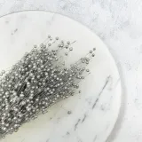 len-suszony-srebrny-rodzaj-trawy