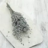 len-suszony-srebrny-wysokosc-maksymalna-60-cm