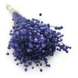 len-suszony-granatowy