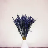 len-suszony-granatowy-stan-nowy