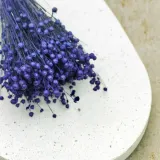 len-suszony-granatowy-kod-producenta-len-granatowy