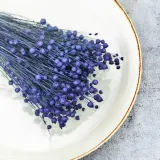 len-suszony-granatowy-wysokosc-maksymalna-60-cm