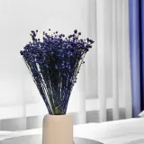 len-suszony-granatowy-stan-nowy-rodzaj-trawy