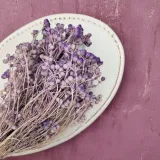 lonas-lonas-annua-lila-kod-producenta-lonas-lila