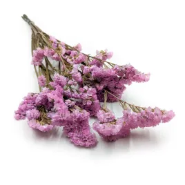 stabilizowany-zatrwian-wrebny-limonium-sinuatum-rozowy