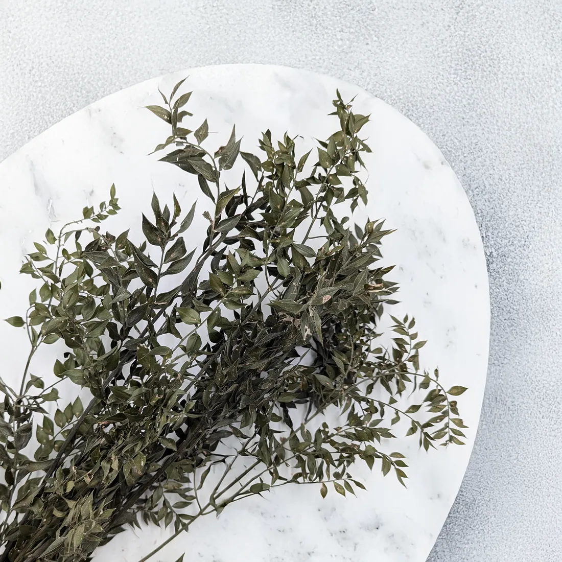 ruskus-suszony-ruscus-naturalny