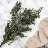 ruskus-suszony-ruscus-naturalny-rodzaj-trawy