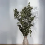 ruskus-suszony-ruscus-naturalny-kod-producenta-ruskus-suszony