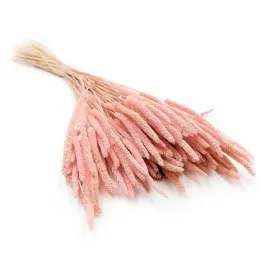 suszona-trawa-tymotka-phleum-perlowy-roz