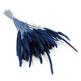 suszona-trawa-tymotka-phleum-niebieska