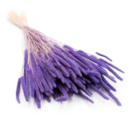 suszona-trawa-tymotka-phleum-lila
