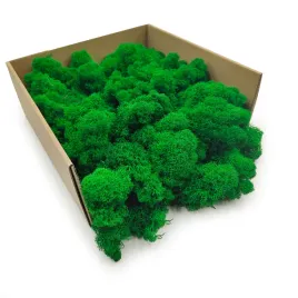 mech-chrobotek-reniferowy-finski-oczyszczony-zielony-250g-netto