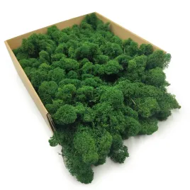 mech-chrobotek-reniferowy-finski-oczyszczony-butelkowa-zielen-250g