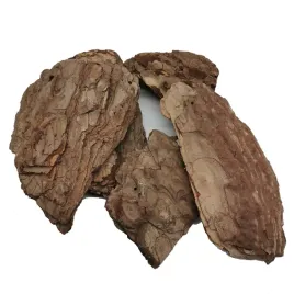 kora-sosnowa-paczka