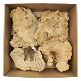 huba-suszona-naturalna-200g
