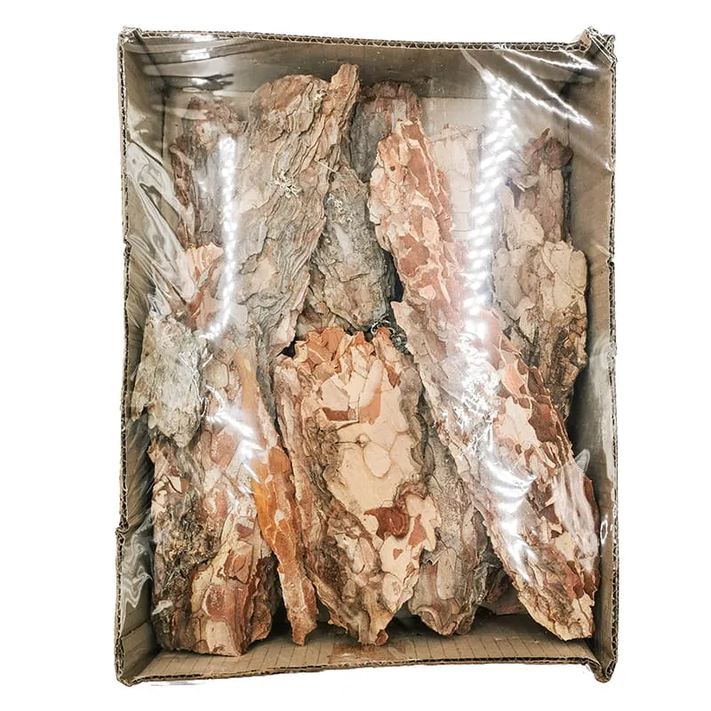 kora-sosnowa-paczka-650g