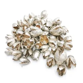 bakuli-srebrne-susz-egzotyczny-100g