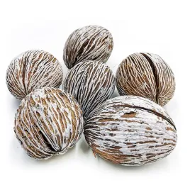 kula-mintola-mintola-ball-osniezona-susz-egzotyczny-6-szt