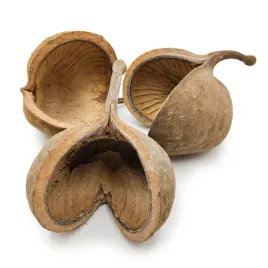 budda-nut-orzech-naturalny-susz-egzotyczny-3szt