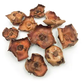 palm-cup-naturalny-paczka-10szt