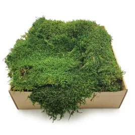 mech-plaski-szwecja-ciemnozielony-naturalny-500g