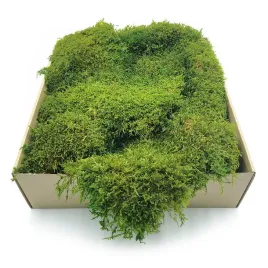 mech-plaski-szwecja-jasnozielony-naturalny-11kg