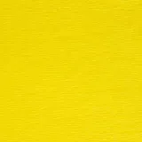 bibula-tymos-cytrynowa-200-50-cm