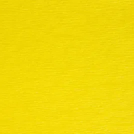 bibula-tymos-cytrynowa-200-50-cm