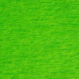 bibula-tymos-jasnozielona-200-50cm