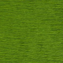 bibula-tymos-oliwkowa-200-50-cm