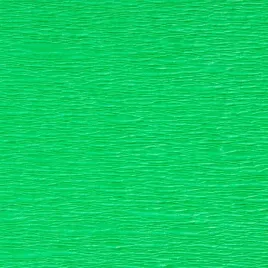 bibula-tymos-zielona-200-50cm