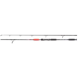 wedka-jaxon-catfish-e-spinandtroll-210-160g