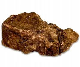 gryzak-dla-psa-korzen-wrzosca-m-150-300g-naturalny-twardy