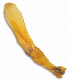 ucho-krolicze-dla-psa-1-szt-suszone-uszy-krolika-naturalne-bez-futra