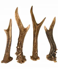 gryzak-poroze-kozla-parostek-rogi-dla-psa-s-twardy-10-13-cm-naturalny