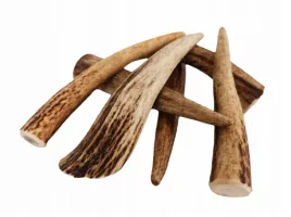 naturalny-gryzak-dla-psa-z-poroza-m-hard-14-16cm