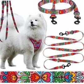 smycz-z-wielopoziomowa-regulacja-5-m-duze-rasy-psy-od-20-kg-25-mm-ukory
