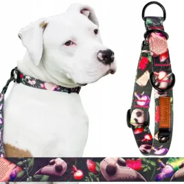 treningowa-obroza-polzaciskowa-dla-duzych-psow-42-62-cm-xl-ukory-wytrzymala