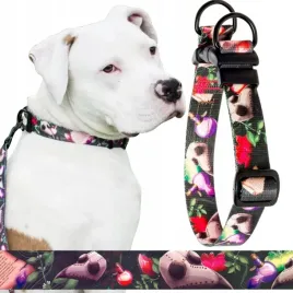 obroza-mocna-tasma-srednie-psy-terrier-s-m-20-mm-ukory-premium-czaszka