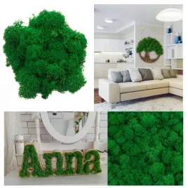 mech-chrobotek-reniferowy-naturalny-stroik-stroikow-finski-ozdobny-105g