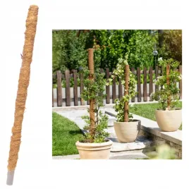palik-tyczka-podpora-kokosowy-kokosowa-do-kwiatow-roslin-60cm-solidna