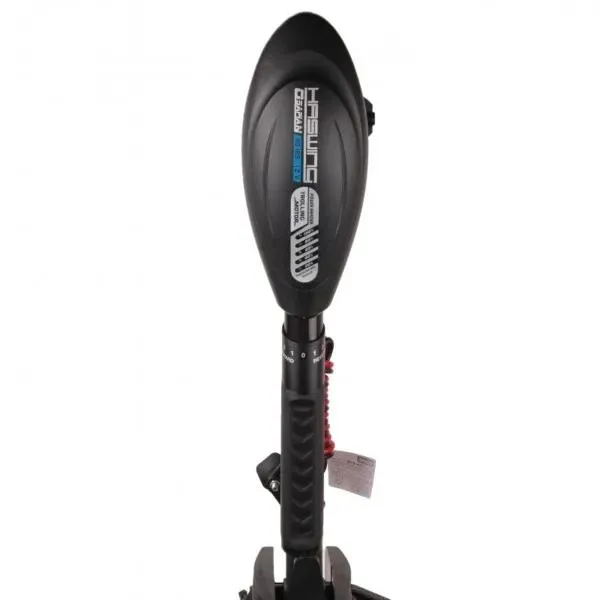 silnik-elektryczny-haswing-55-60-12v-max