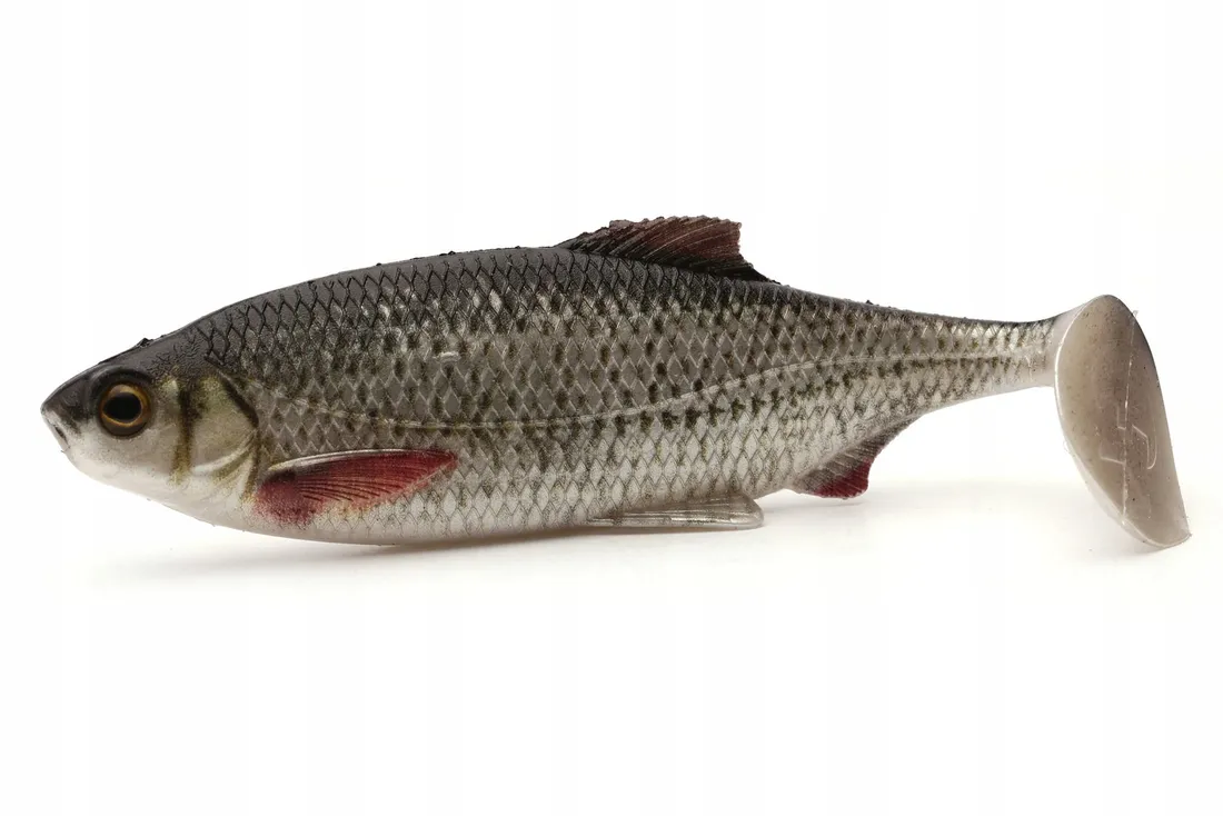 westin-ricky-the-roach-shadtail-7cm-6g-real-roach