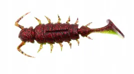 lucky-john-alien-bug-15