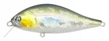 bet-a-shad-63sp-sr-r30