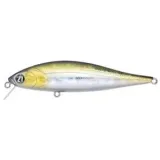 bet-a-minnow-78sp-sr-r30
