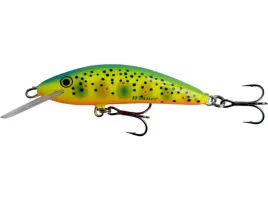 wobler-kenart-winner-dr-7cm-6g-floating-rx