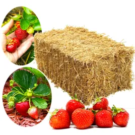 sloma-sciolka-do-ogrodu-4kg-pod-truskawki-dekoracja-kompost-dla-psa-gryzoni